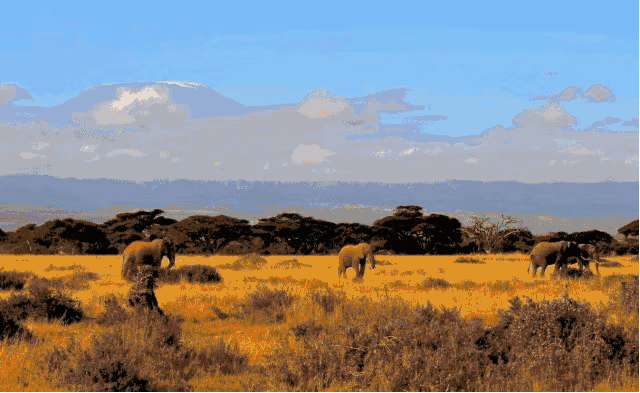 撒哈拉以南的非洲