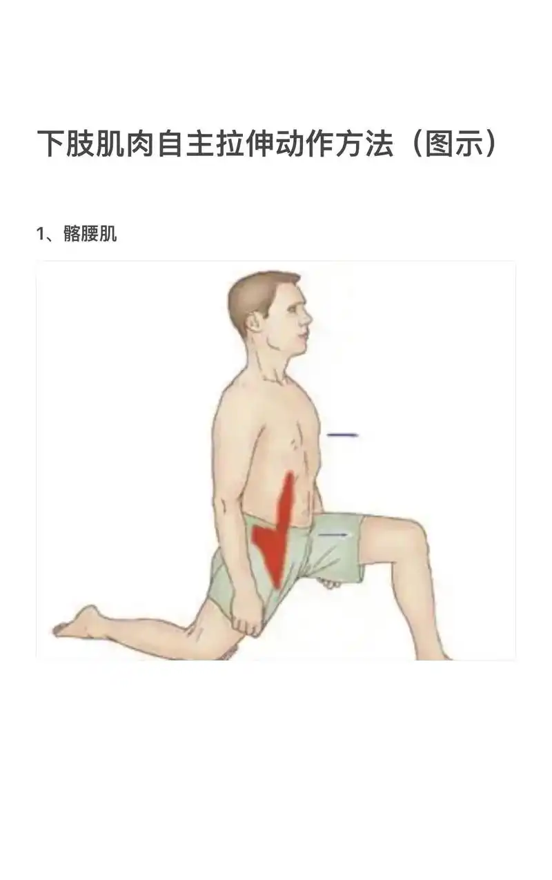 下肢肌肉自主拉伸动作方法(图示)运动后的下肢肌肉放松拉伸你学 - 抖