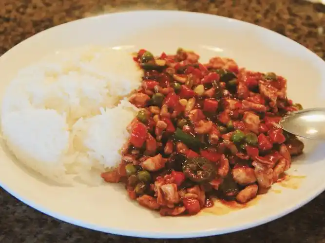 甜甜辣辣酱香鸡丁盖浇饭超快手