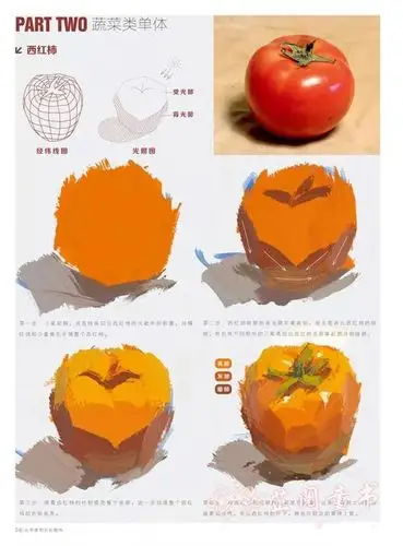 敲门砖绘画入门正规教程从单体到色彩静物水粉画零基础入门名师教你画