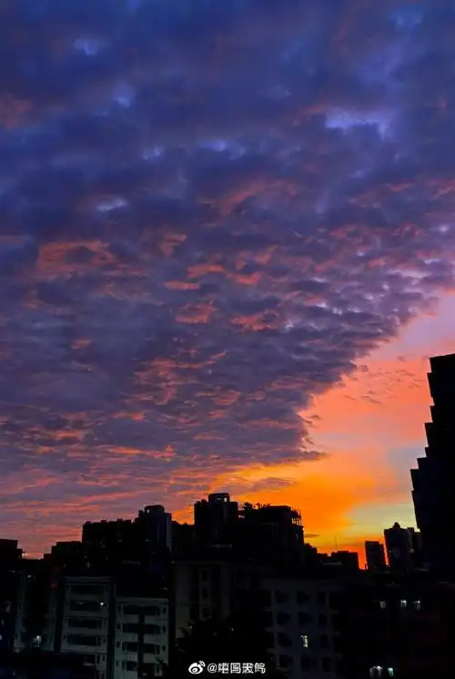 深圳晚霞##深圳粉紫绝美晚霞