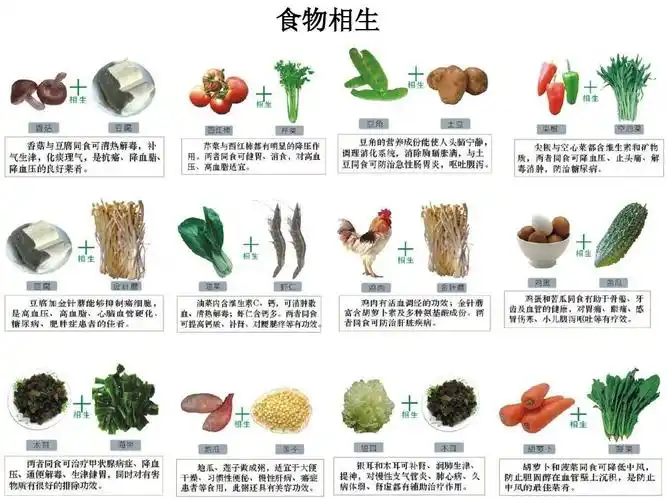 食物相生相克大全