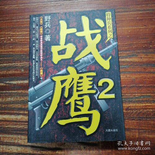 特种兵系列:战鹰2