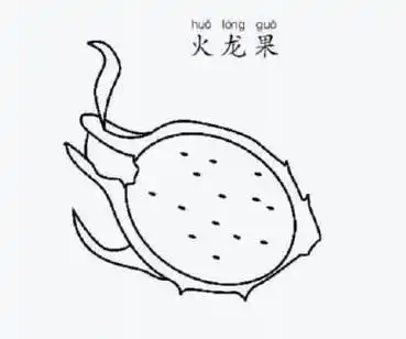 火龙果简笔画 火龙果简笔画图片带颜色