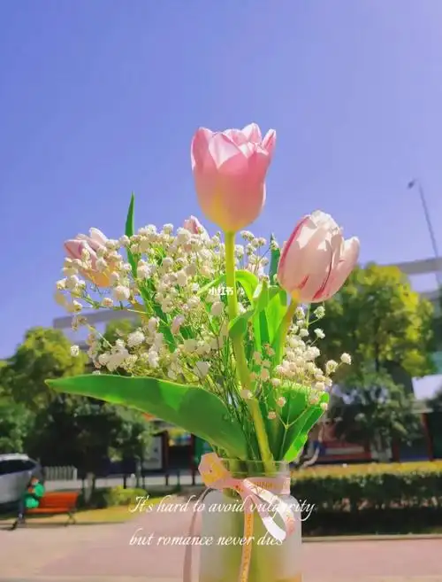 连着几天也是阴雨.图里是之前拍的,心情仿佛也明媚起来了