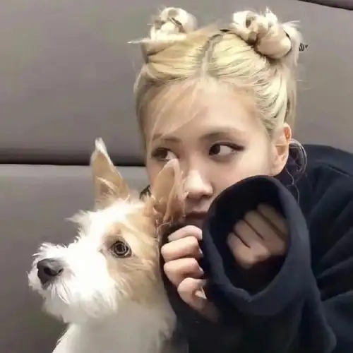 不知道有没有你要的rose07头像朴彩英头像#无水印头像