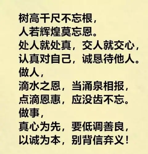 树高千尺不忘根,人若辉煌莫忘恩