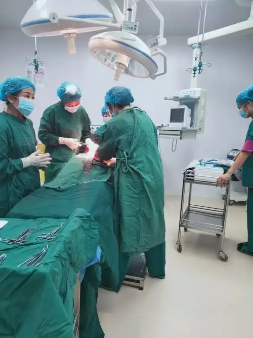 手术室一周工作情况