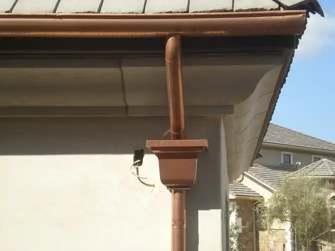 data-lemmaid="410040">落水系统 /a>分支,是设在屋面雨水由天沟进入