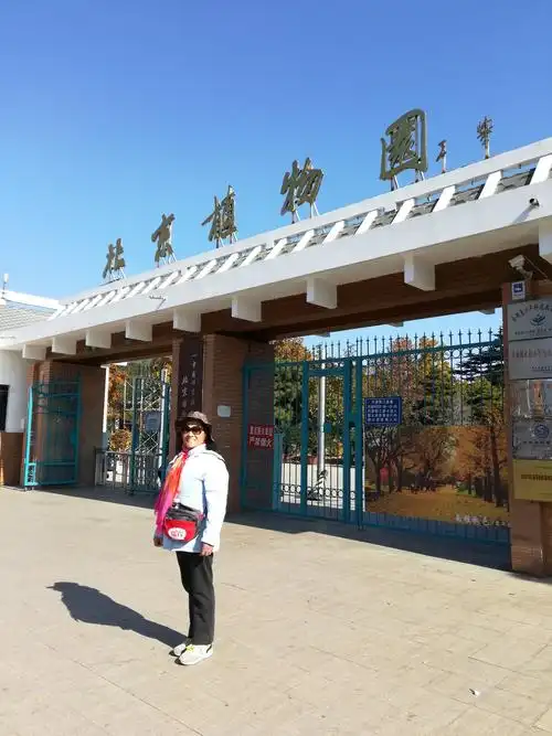 蓝天下的柳荫公园及中国科学院植物研究院北京植物园