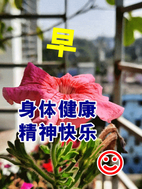 最好看的祝福早安图片温馨唯美的早上好问候