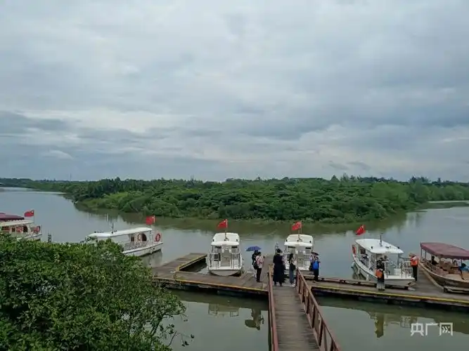【看见美丽中国】海口市美兰区充分发挥自身优势  实现生态环境保护和