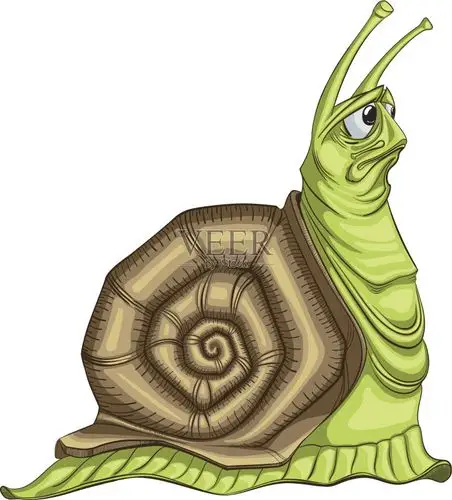 悲伤的蜗牛在白色背景上的插图