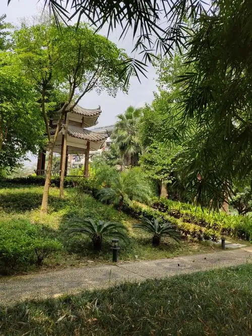 觅一段绿景,感受自然. - 美篇