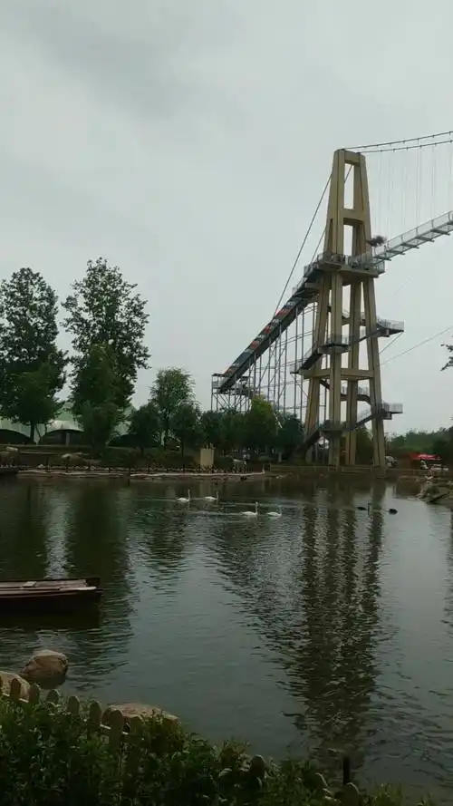碧水清清天鹅游,湖上高架玻璃桥,周口野生动物世界#非常五一嗨翻天