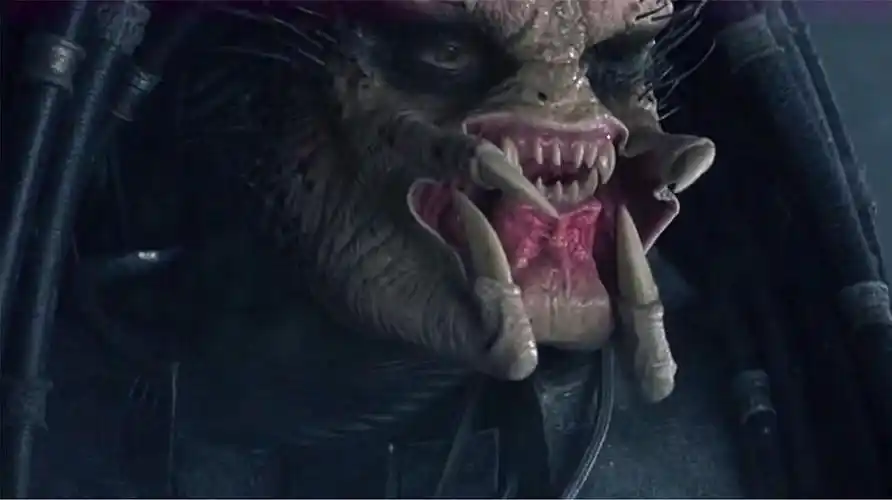 浪花电影恐怖惊悚影视之惊悚合集