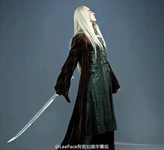 leepace有君如佩字幕组的照片 - 微相册