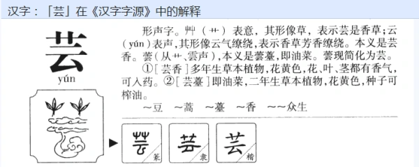 三,字形演变(如图)