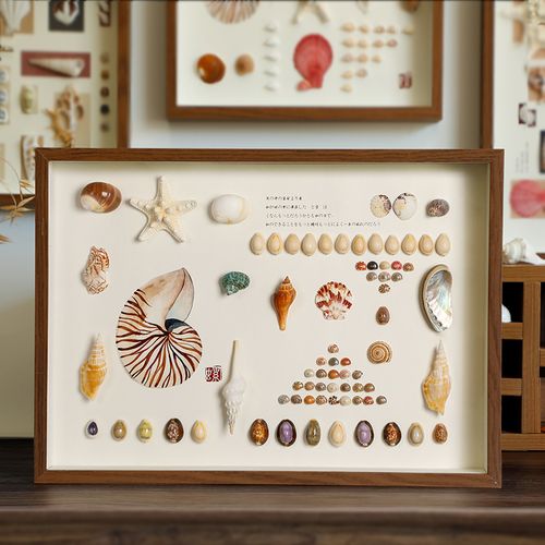 天然贝壳海螺标本挂画手工艺品摆件相框diy制作家居创意装饰品画