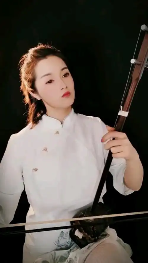 二胡独奏#经典老歌:西海情歌