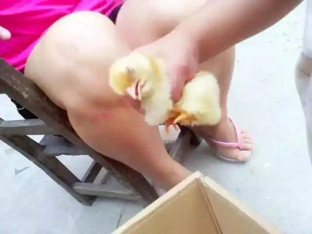 孩子小鸡鸡太小是病,低于这个及格线赶紧看医生!