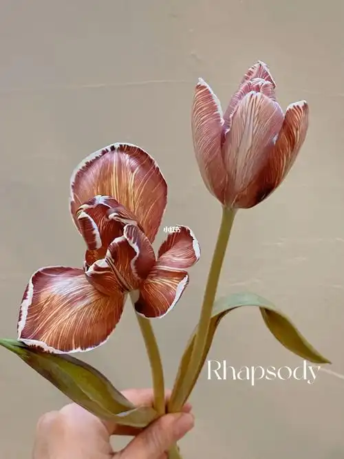 布朗尼郁金香复古色好好看