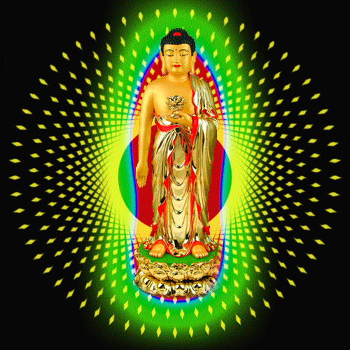 500_500gif 动态图 动图