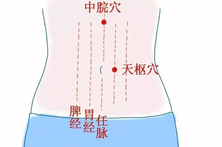 胃经:腹胀,消化不良?富葛中医:按这穴位当天改善