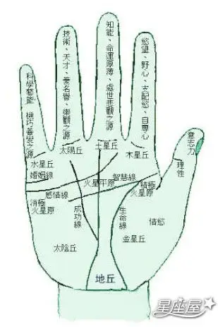 哪种手相的男人不能错过?