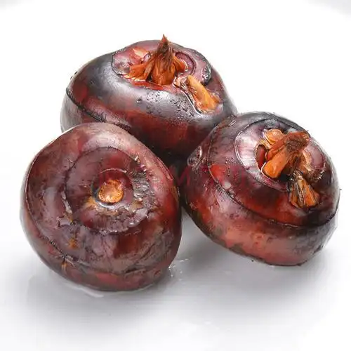 新鲜马蹄荸荠水果蔬菜地梨地果地栗1/3/5斤 【精选体验1 斤装】送削皮