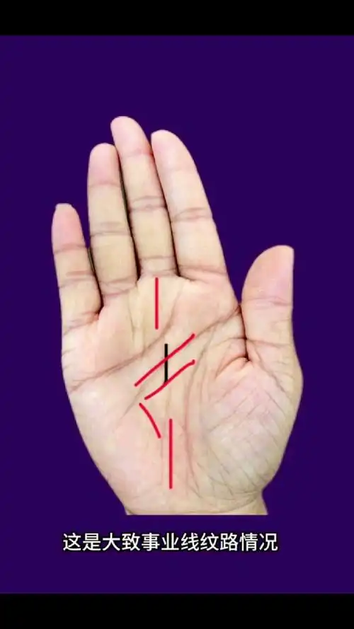 分享一个事业线掌纹