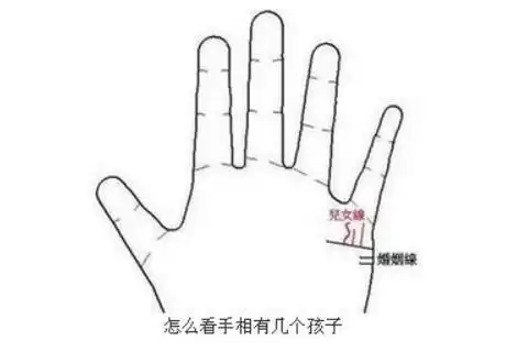 教你怎么看手相有几个孩子?