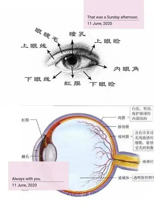 《爱眼护眼,从我做起》中二班