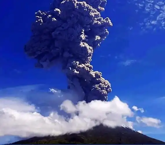 大自然的愤怒:2020年震惊世界的自然灾害