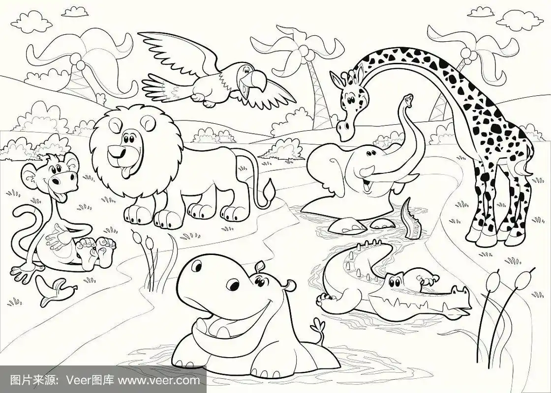 非洲,动物,热带雨林,黑白图片,绘画插图