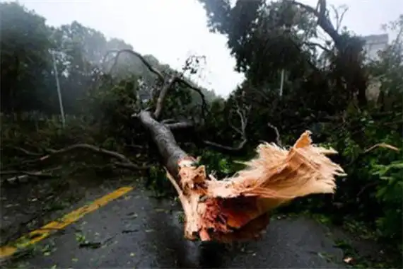 世界上最强台风排名