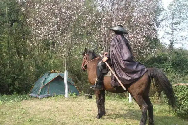 一匹马一把剑一个行囊乐山街头来了个骑着马的背弓侠客