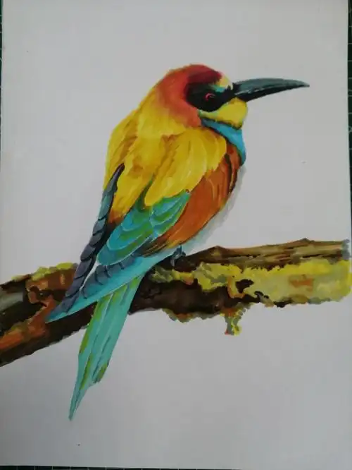 马克笔画鸟过程图