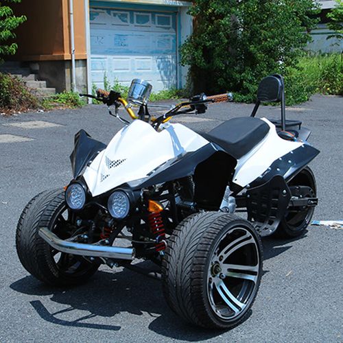 威仕得倒三轮沙滩车150大川骑越野摩托车f1公路赛250摩托车跑车 150cc