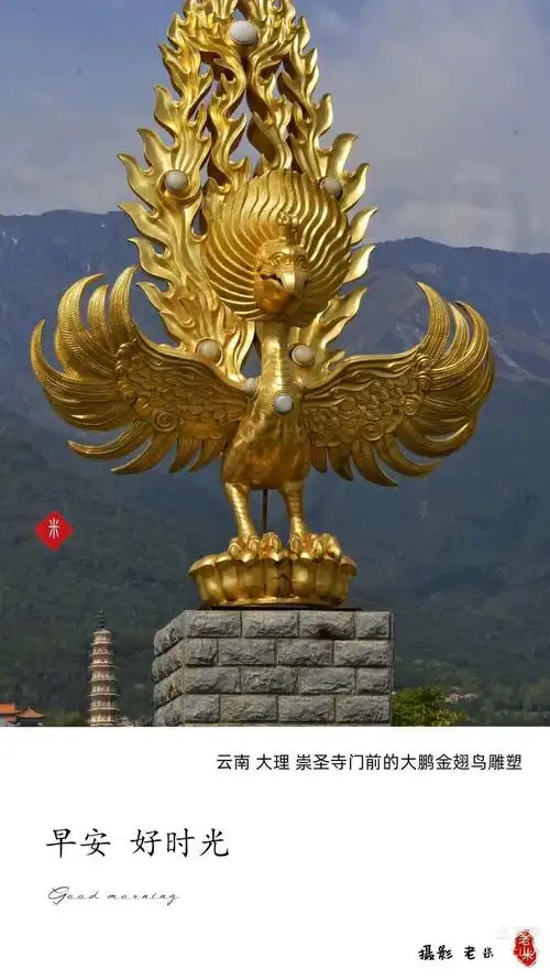 七绝 金翅大鹏67