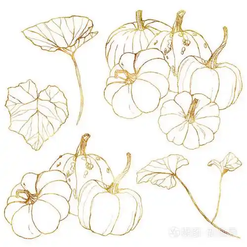 丰收节的线条艺术黄金套装手工绘制的传统南瓜叶子和树枝被隔离在白色