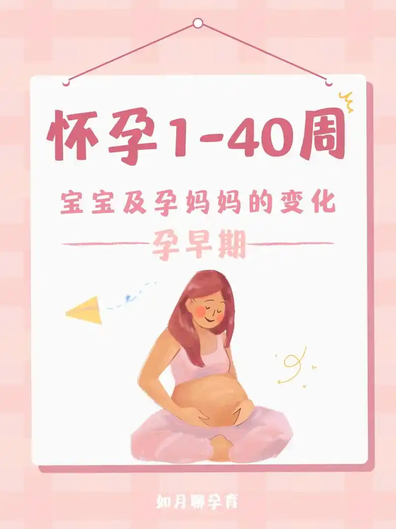 怀孕1-40周宝宝发育全过程97孕早期篇.十月怀胎本就是件很 - 抖音