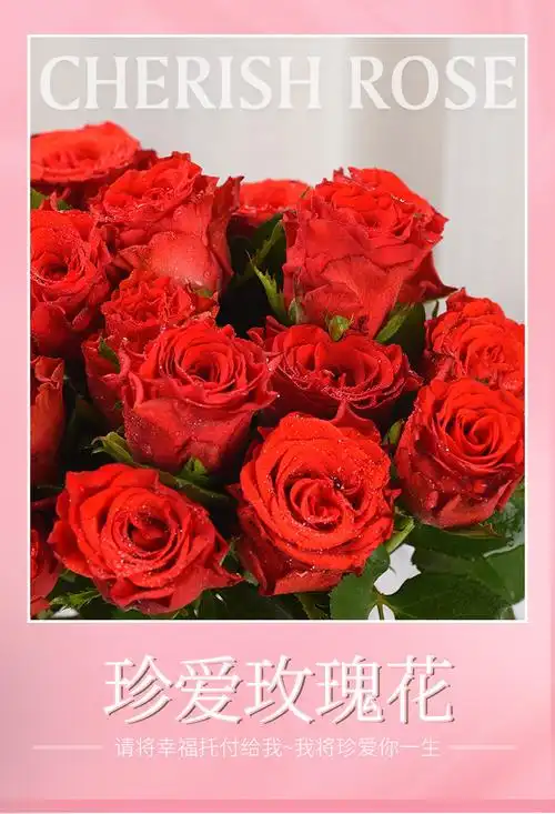 珍爱玫瑰花花束鲜切花 云南鲜花批发 室内办公室装饰水养插花批发