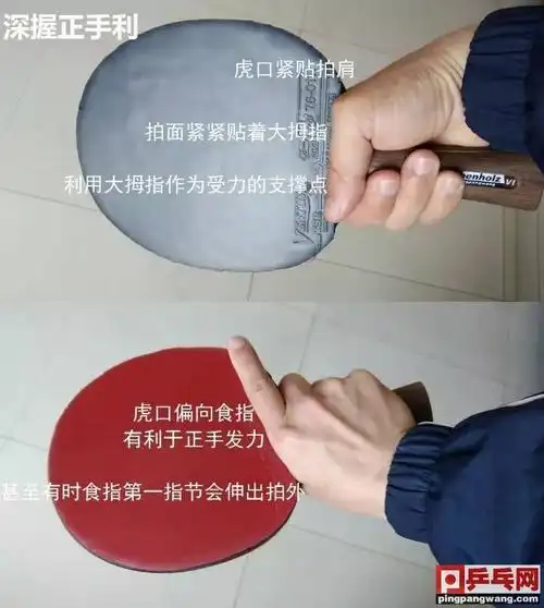 【技术】从方博手掌起茧部位说说横拍握拍方法