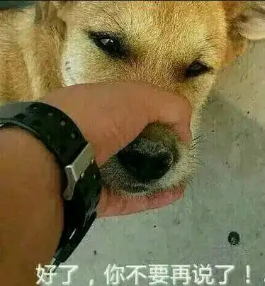 捏狗嘴别说话表情包