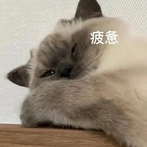 疲惫- 表情包 - 挖吧