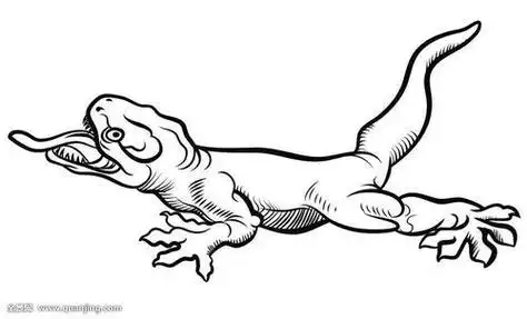 动物简笔画壁虎