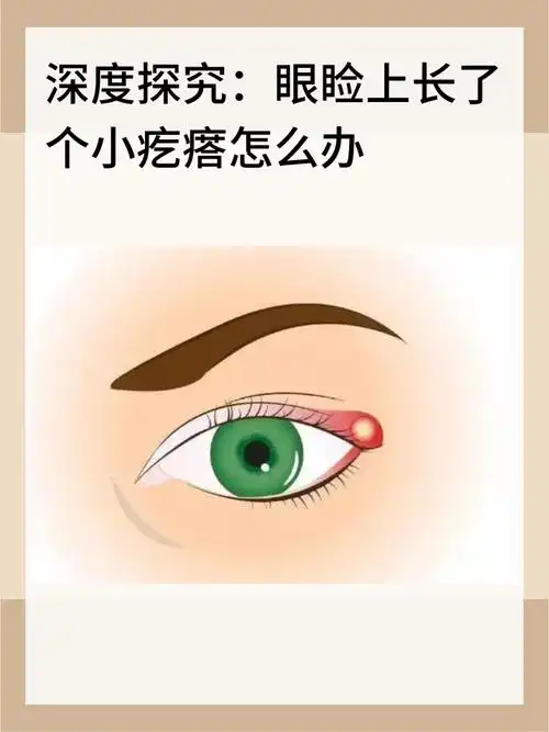 眼睑上长了个小疙瘩怎么办 眼睑上的小疙瘩,可能是麦粒肿或脂肪粒,让