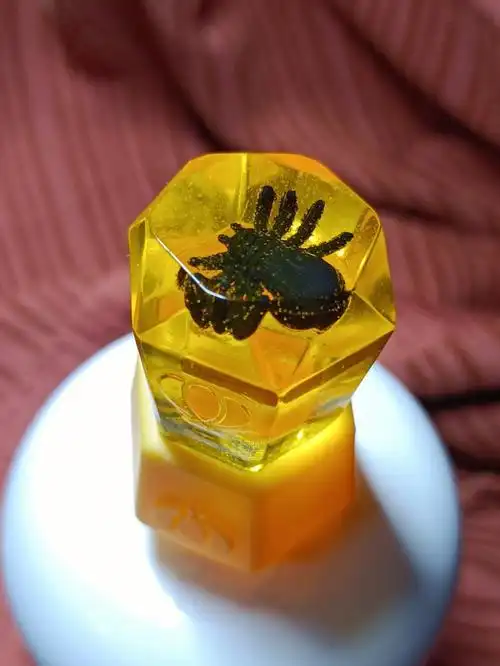 我家小朋友做的蜘蛛琥珀