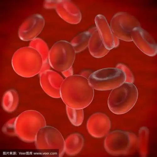 显微镜下的红血球图片